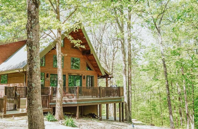 Paradise View Log Cabin