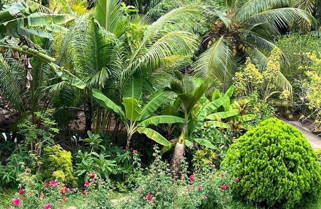 Paul's Residence