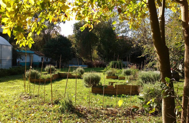 Paix et piscine. Option de jardinage.