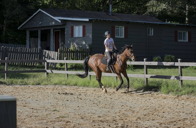 Pays paisible sur un cheval de travail