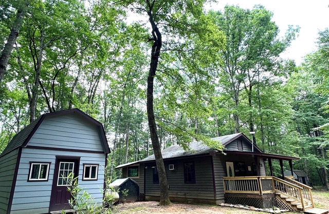 Peaceful cozy cabin in the woods