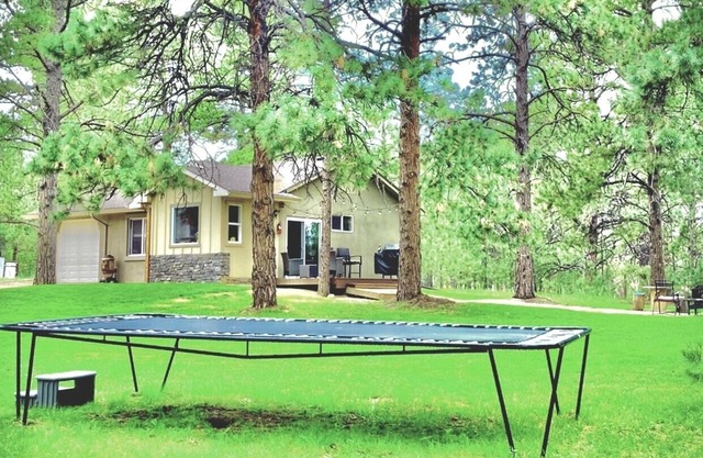 Peaceful Forest feel 5ac, Comfy 3bd Monument hidden but close, Deer, USAFA10mi