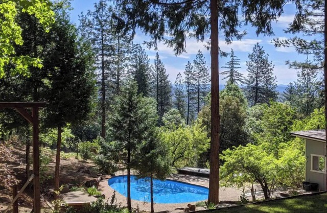 Forest retreat w/ Pool, Game Room, EV charger. Pet friendly!