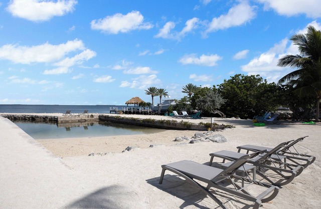 Peaceful King Stay w/Sunset Views! Pool and Gym Access | Pet Friendly