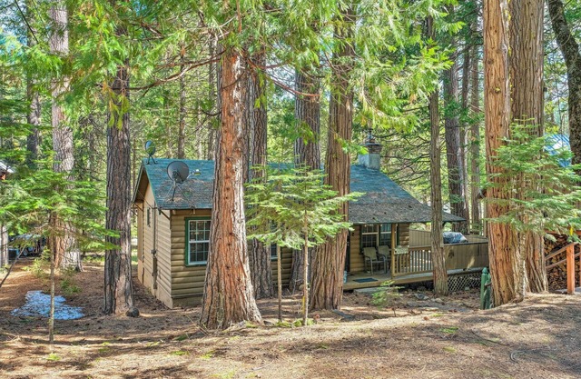 Peaceful 'Little Doll House' Cabin w/ Grill!