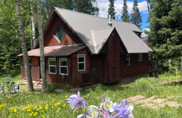 Peaceful mountain cabin 1/2 way between Durango and Silverton