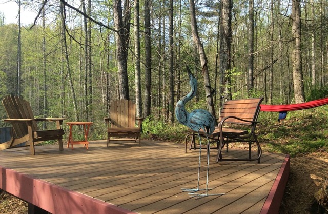 Maison de retraite moderne paisible en montagne près d'Asheville, vue sur la rivière et accès