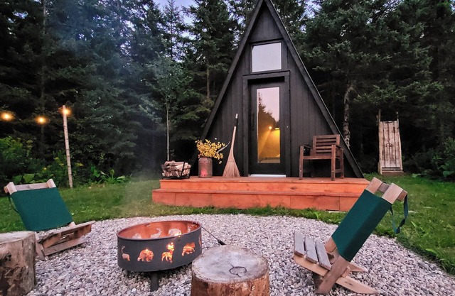 Peaceful off-grid forest experience with outdoor shower and walking trail.