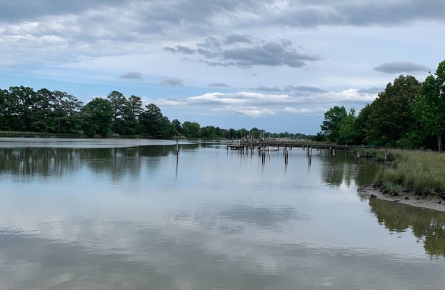 Peaceful on the Creek in the Northern Neck