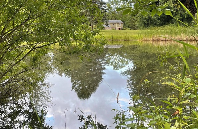 Idyllic and peaceful retreat with a pond on 20 acres, steps away from Port Bay!