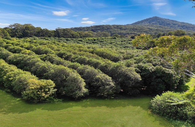 Peaceful retreat with scenic views and serenity