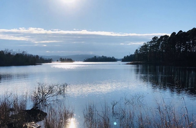 “Maison de campagne tranquille située près de l'extrémité nord du lac Ouachita.”