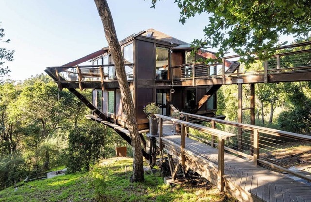 Cabane dans les arbres paisible avec vue sur l'océan