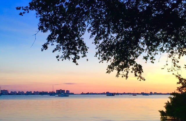 Peaceful Waterfront Cottage, à quelques pas de Gulfport! Old Oaks Tall Pines Lush Yard.