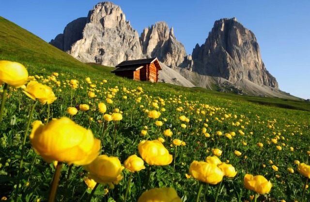Appartement Pederiva (SOF740) à Soraga di Fassa - 2 personnes, 1 chambres