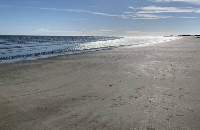 Pelican Watch: 2 Bedroom Condo overlooking Hunting Island State Park and Ocean