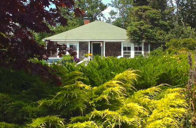 Pemaquid Point Cliff Rd. 3B / 1B Cottage-Cheminée-Marches du Phare-Animaux-1300 / semaine