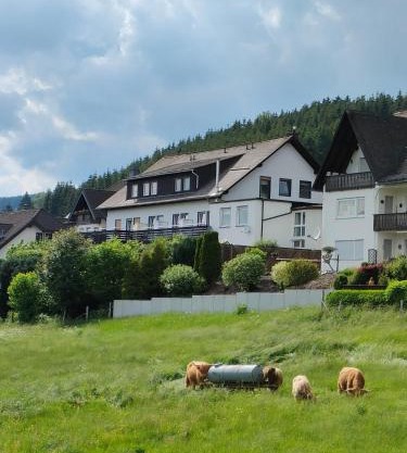 Pension Sauerland