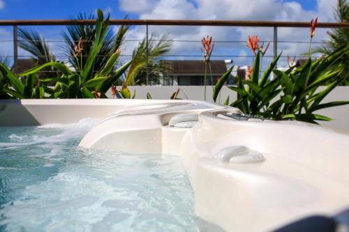 Penthouse 3 chambres Choisy les Bains