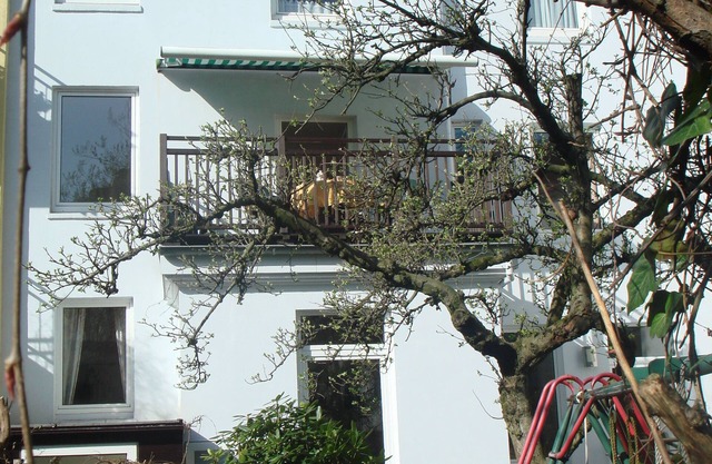 PENTHOUSE à Alster City Garden Villa. Élégant et calme, adultes seulement