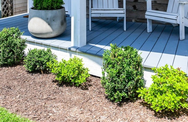 Perfect 1 Bedroom Cottage Close to the Famous Ocean City Boardwalk!