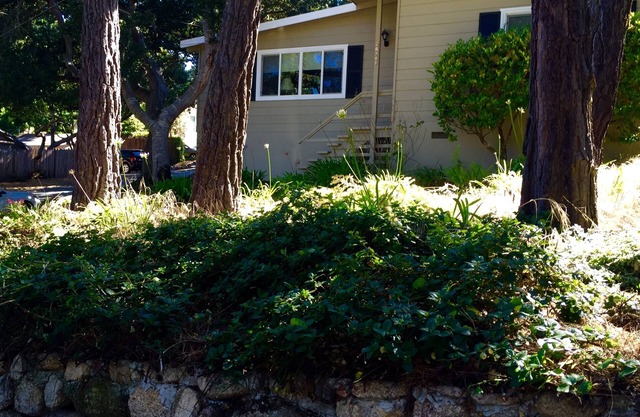 Perfect Carmel Retreat - À pied du centre-ville