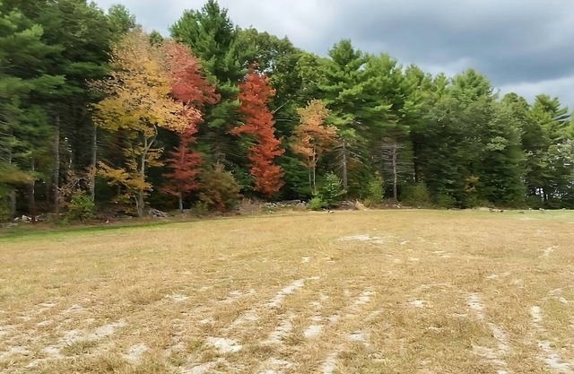 Perfect for Groups! 3 Spacious Units w/ FREE Breakfast, Minutes to Patriot Place