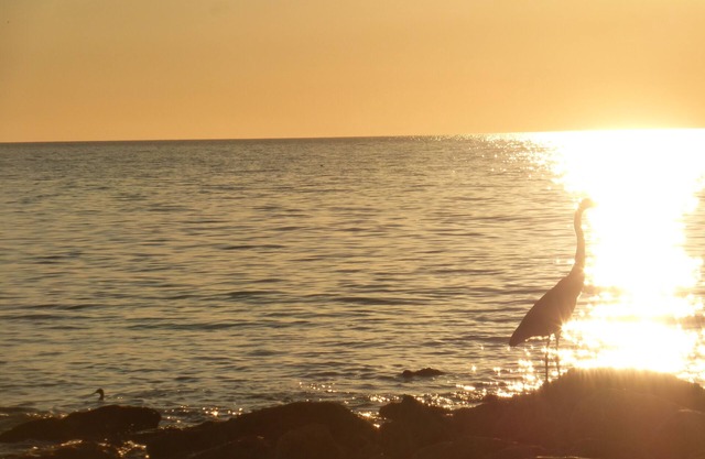 PASOS perfecta ubicación en Lido Beach