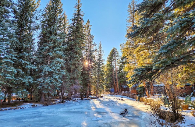 Perfect Rustic Family Cabin Next to Thompson River