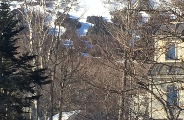 Perfect Ski in Location - 3 Bd, 2 Bath Cozy Condo, proche des remontées mécaniques et du village