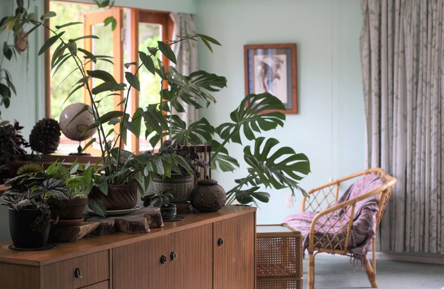 Maison familiale lumineuse, ensoleillée et tranquille