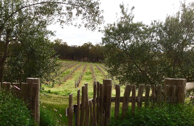 Perth Hills, expérience amusante en famille, à la ferme dans la vallée des cygnes