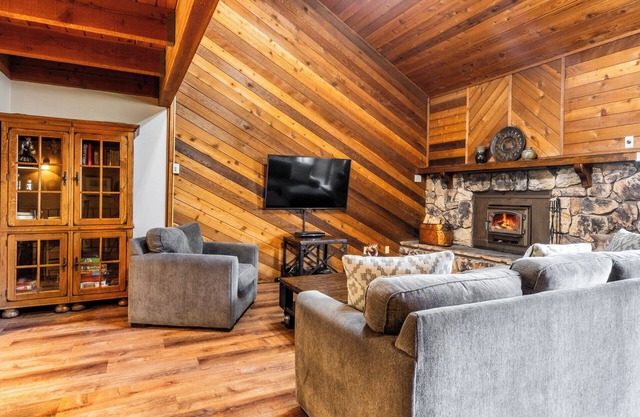 480 Pet-Friendly, Family-Friendly Mountain Condo