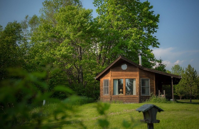 Cabane conviviale pour animaux de compagnie dans les prés en bordure de forêt avec de grandes fenêtres