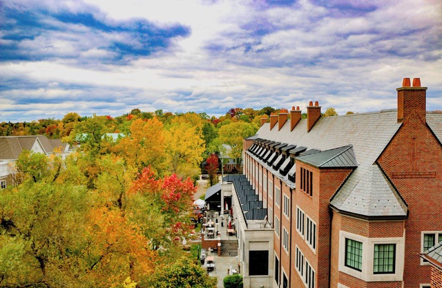 Pet-friendly Accommodation with a Blend of Modern Comfort and Old-World Charm