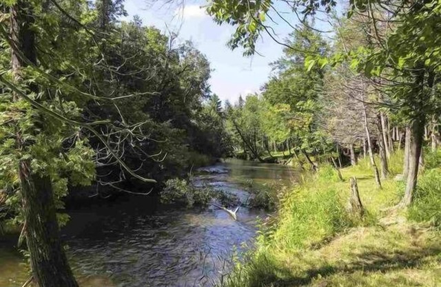 Animaux acceptés, Betsie River Retreat - 10 personnes - Ski, poisson et plus encore!