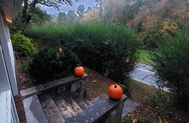 Motards, randonneurs et familles! Parking couvert avec accès facile.