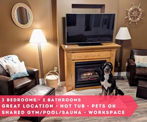 Pet-friendly Canal Park Condonear Lakewalk Pool