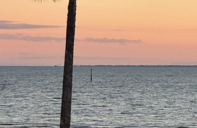 3-bedroom house in charming Gulfport close to the beach and pool in back yard.