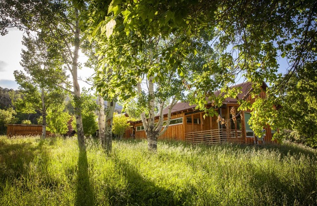 Pet Friendly Contemporary Ranch Home with Stunning Views on Main Elk Creek!