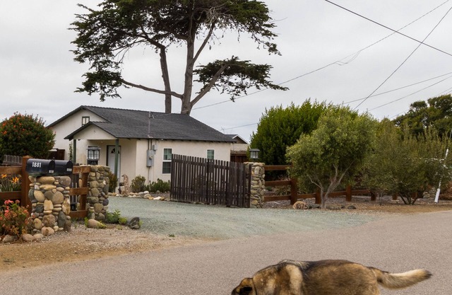 Animaux acceptés Cottage / chiens sont les bienvenus