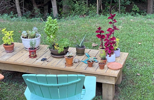 Pet Friendly Cozy Loft Apartment in Lake Lure
