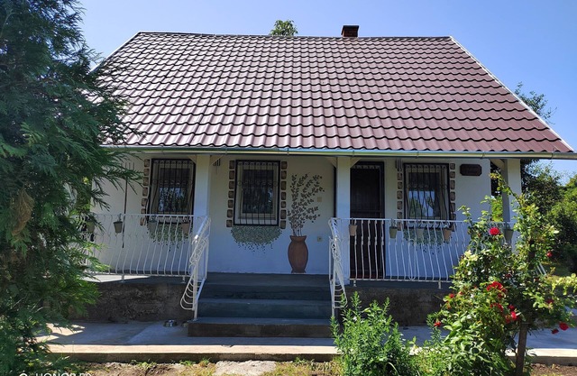 Pet friendly garden house 9 kilometres from lake Balaton