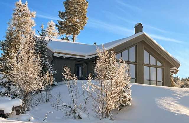 Maison acceptant les animaux à Gålå.