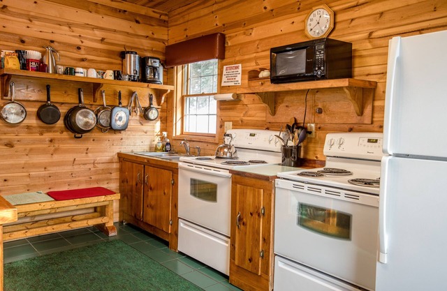Pet Friendly Ski Cabin In the Northwoods