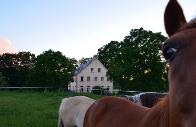 Riding Muhlitz sur Rügen, une idylle pour les individualistes