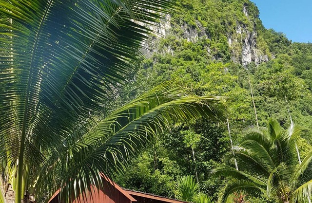 Phanom Bencha Mountain Resort