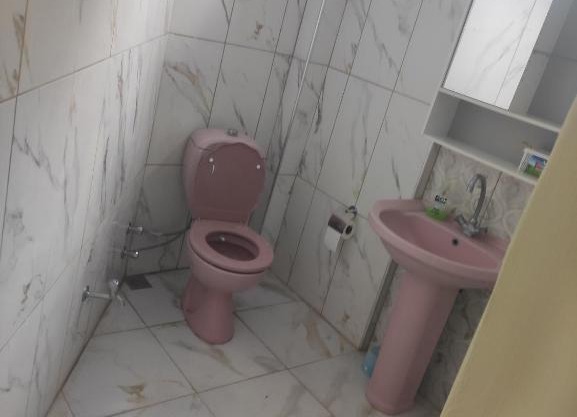 PİNK HAUSE