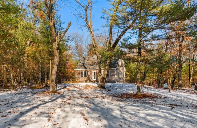 Pickles Cabin in the Woods, Pet Friendly, near Lake Petenwell