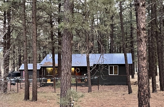 Picturesque Cabin in the Woods near Williams